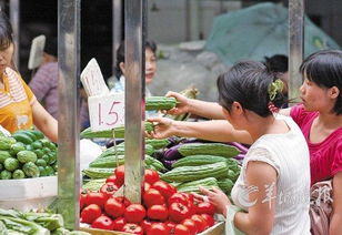 農(nóng)產(chǎn)品打假最高獎30萬元 守護(hù)農(nóng)業(yè)命脈，筑牢食品安全防線