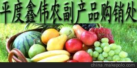 山東玉米市場價格、廠家信息與農產品代理介紹