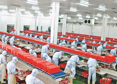 哈爾濱:規(guī)上農(nóng)產(chǎn)品企業(yè)量效雙收，現(xiàn)代農(nóng)業(yè)引擎動(dòng)能強(qiáng)勁