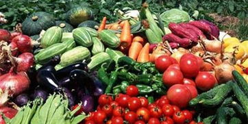 皖校食堂攜手，愛(ài)心采購(gòu)助農(nóng)惠學(xué)