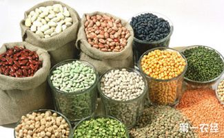 山西聚焦特色資源，擬10月確定20個(gè)獨(dú)有功能農(nóng)產(chǎn)品品牌